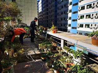 12.31-2.jpg 12.31-2.jpg